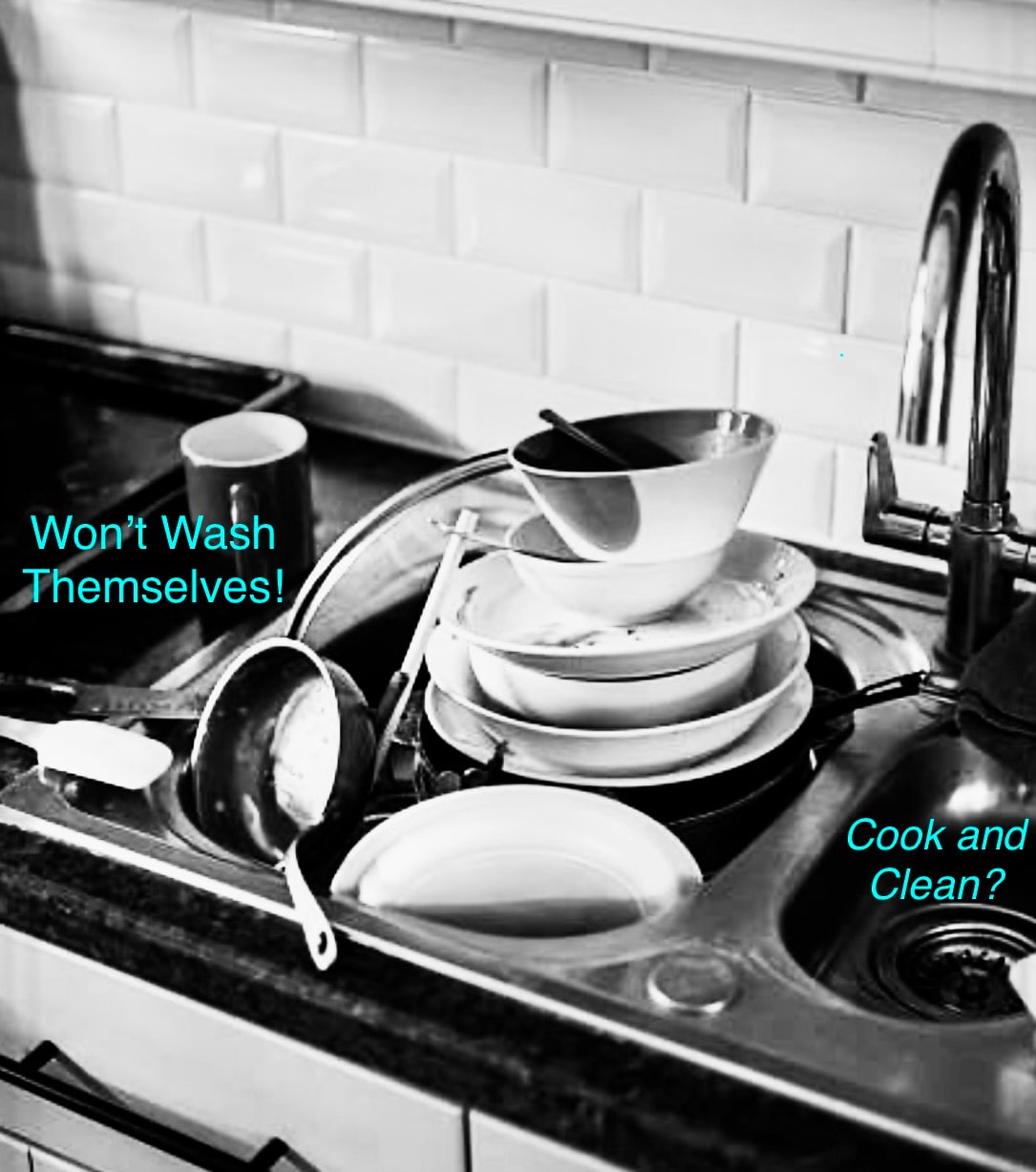 Won't Wash Themselves! Cook and Clean?