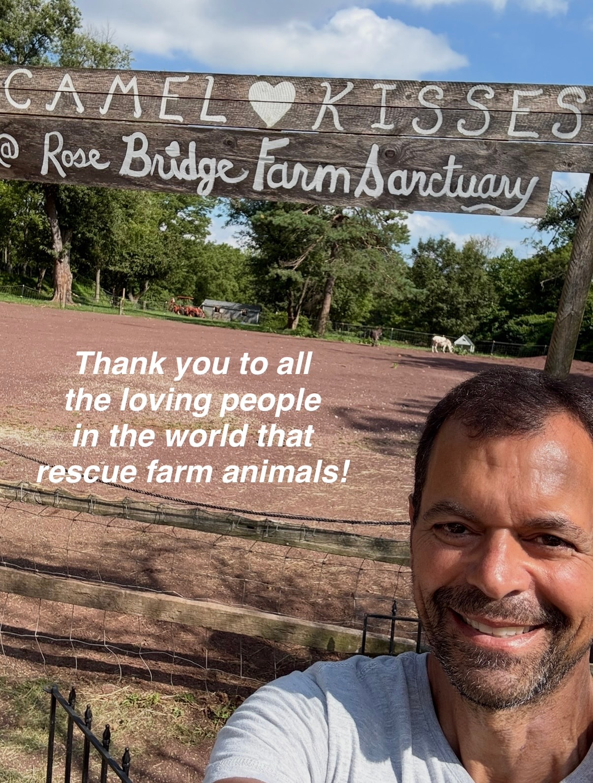 Camel Kisses at Rose Bridge Farm Sanctuary — Thank you to all the loving people in the world that rescue farm animals!