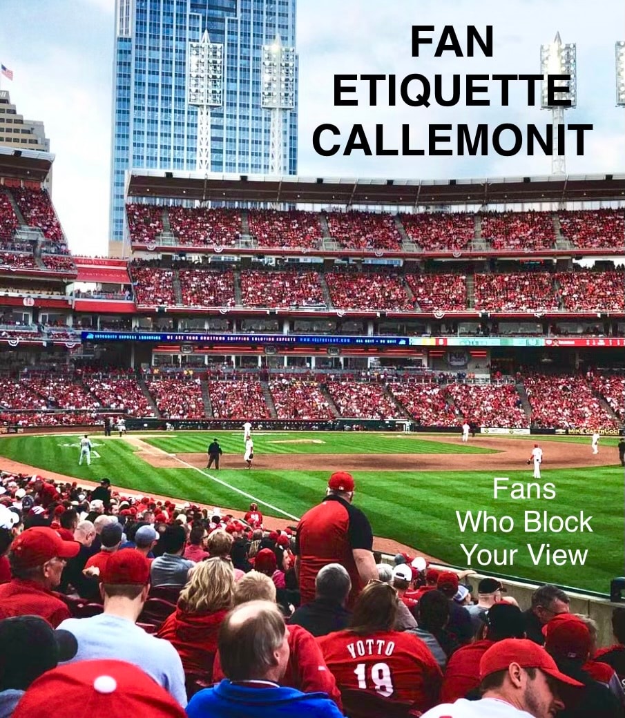 Fan etiquette: fans who block your view at a baseball game